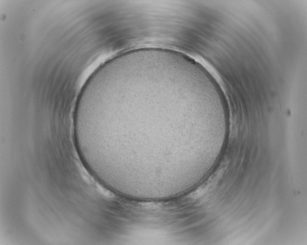 X0000088221341200706051313