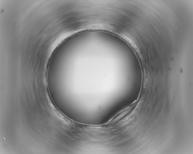 X0000088221342200706051313