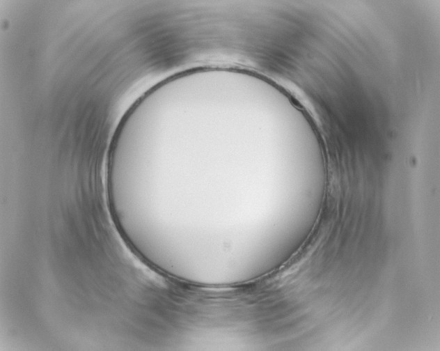 X0000088221343200706051313