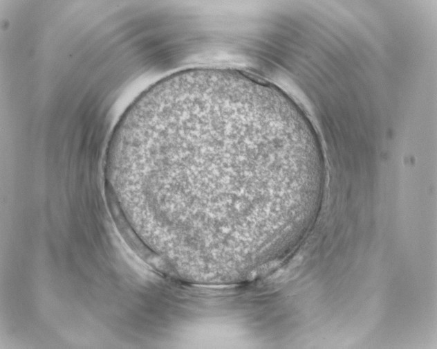 X0000088221344200706051313