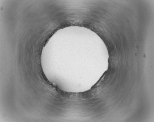 X0000088221345200706051312