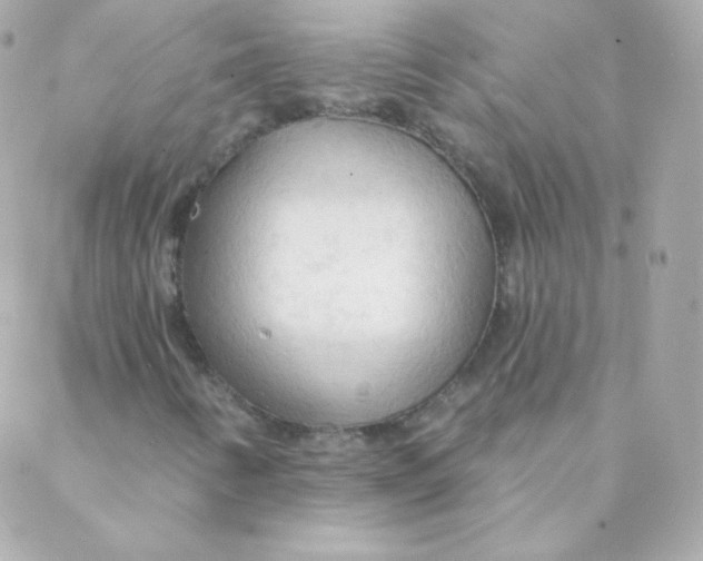 X0000088221346200706051312