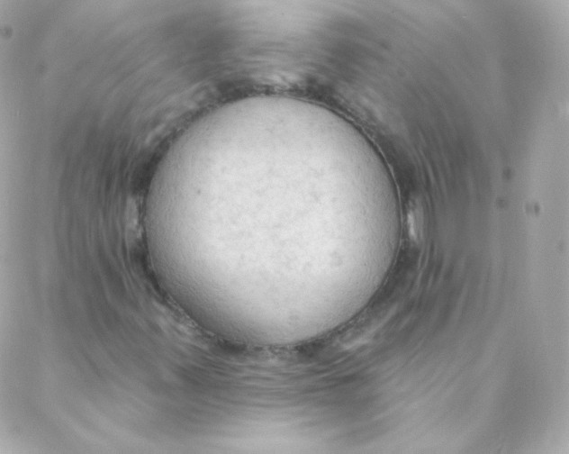 X0000088221347200706051312