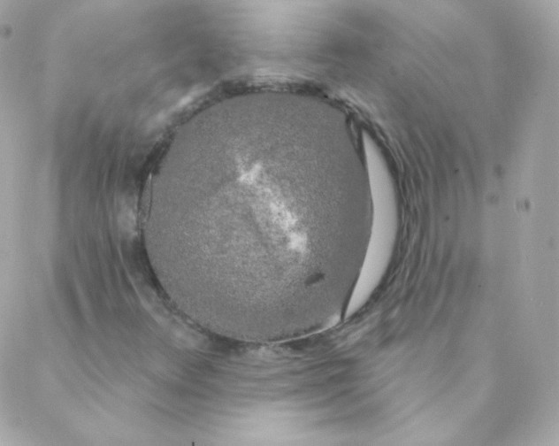 X0000088221348200706051312