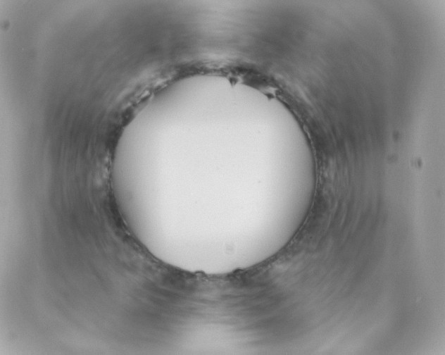 X0000088221349200706051312