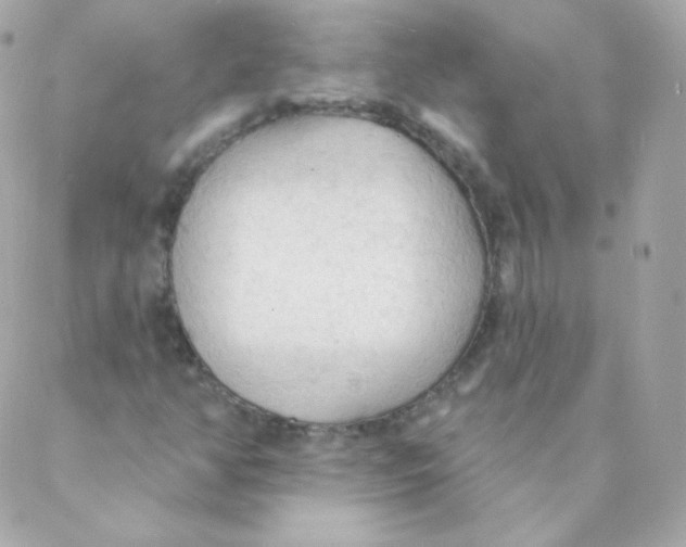 X0000088221350200706051312