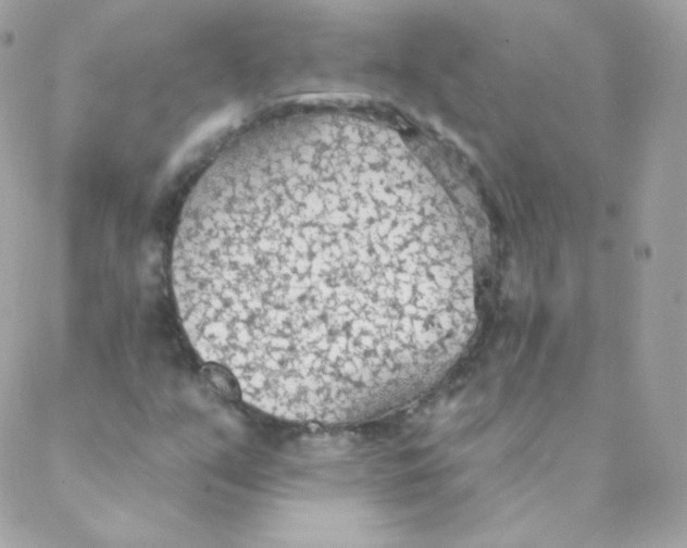 X0000088221351200706051312