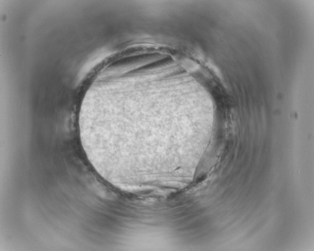 X0000088221352200706051312