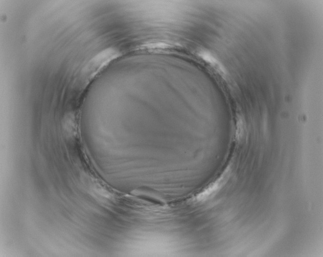 X0000088221353200706051312