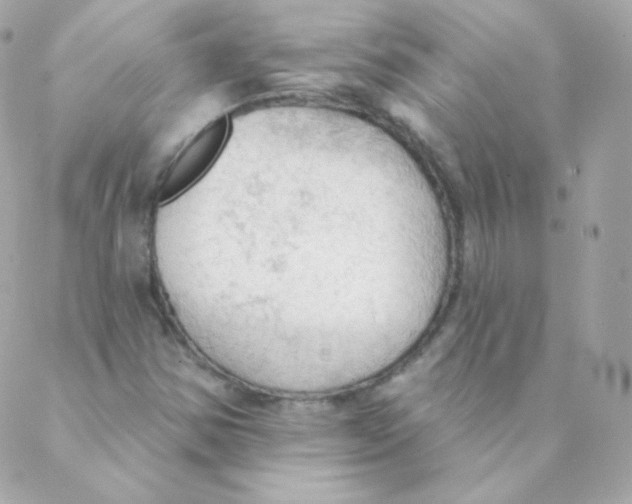 X0000088221354200706051312