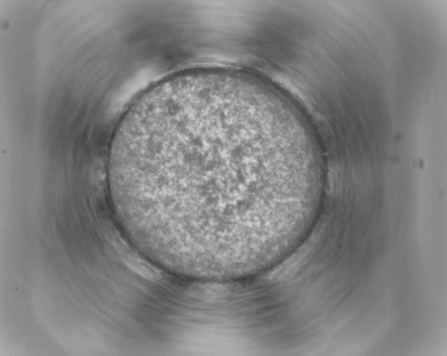 X0000088221355200706051312