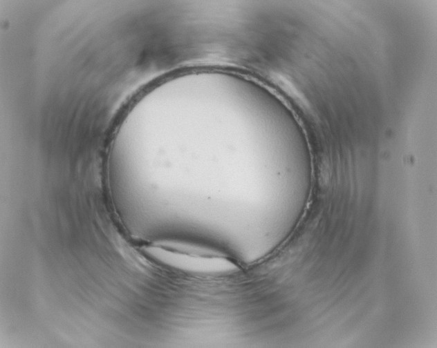 X0000088221356200706051312