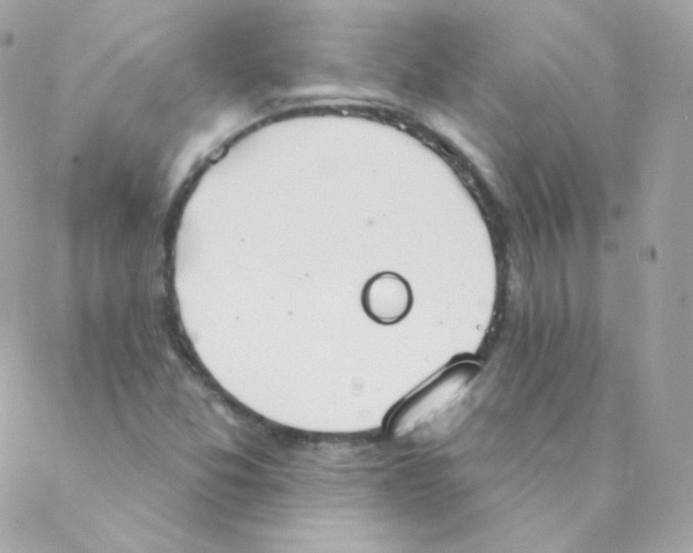 X0000088221357200706051312