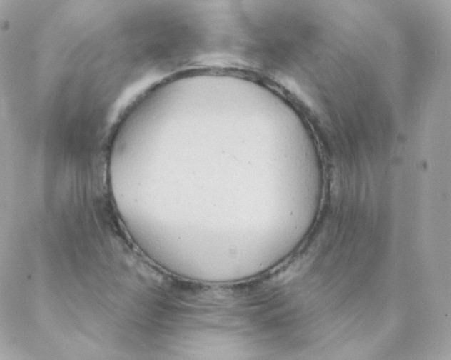 X0000088221358200706051312