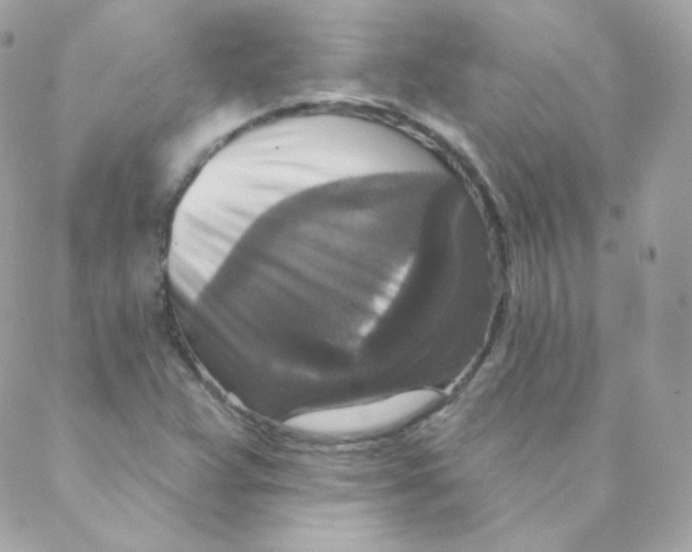 X0000088221359200706051312