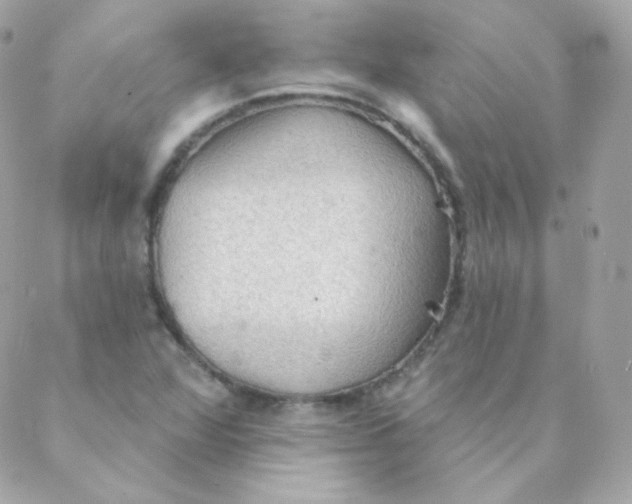 X0000088221360200706051312