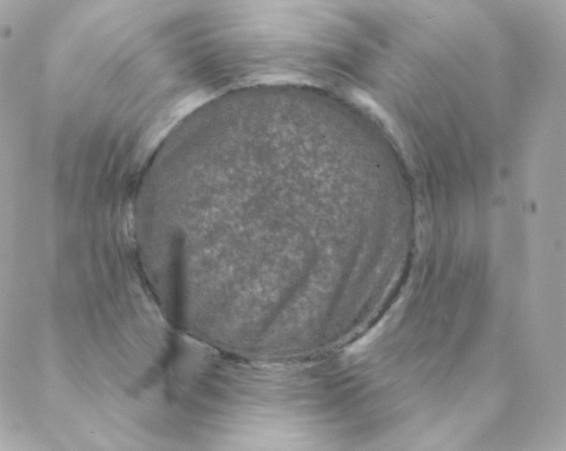 X0000088221361200706051312