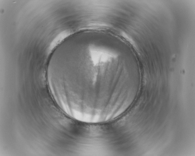 X0000088221362200706051312