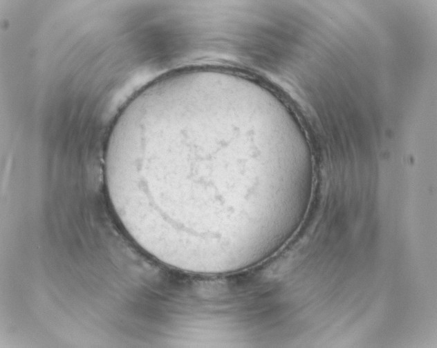 X0000088221363200706051312