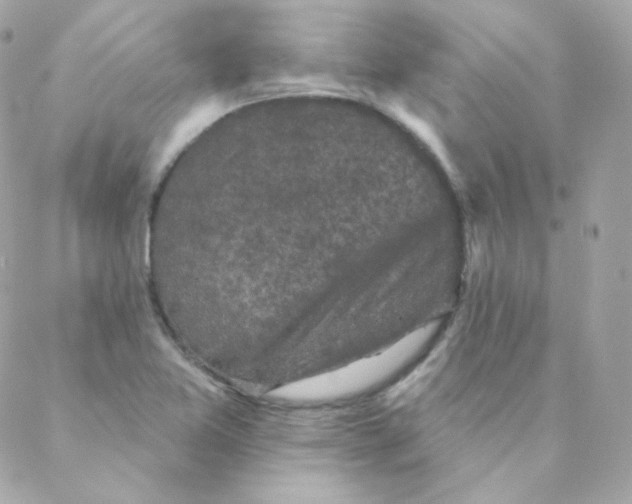 X0000088221365200706051312