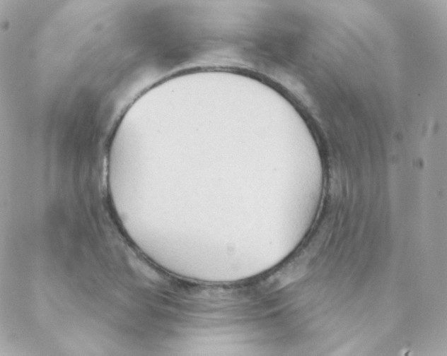 X0000088221366200706051312