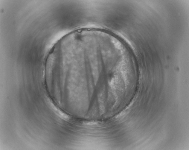 X0000088221367200706051312