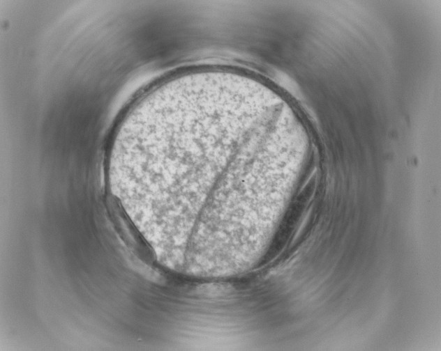 X0000088221368200706051312