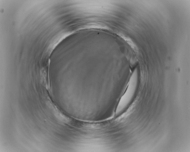 X0000088221369200706051312