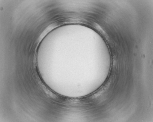 X0000088221370200706051312