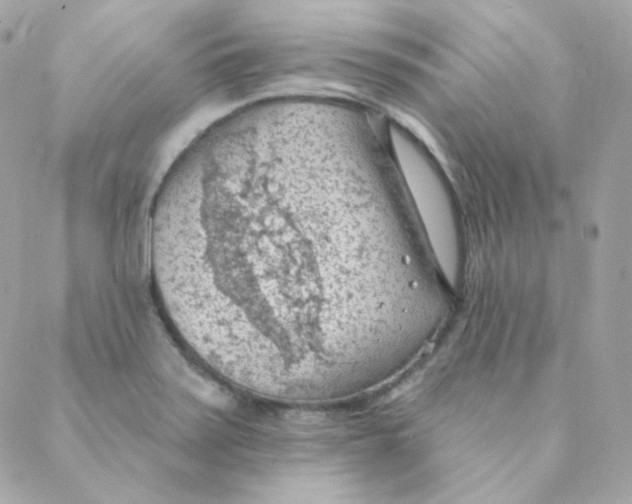 X0000088221371200706051312