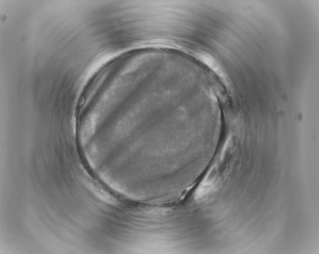 X0000088221372200706051312