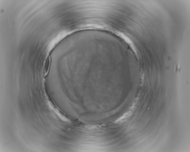 X0000088221373200706051312