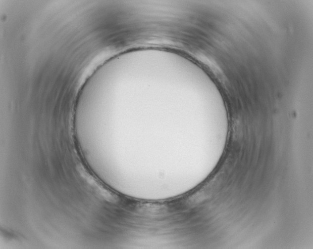 X0000088221374200706051312