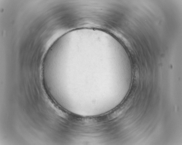 X0000088221375200706051312