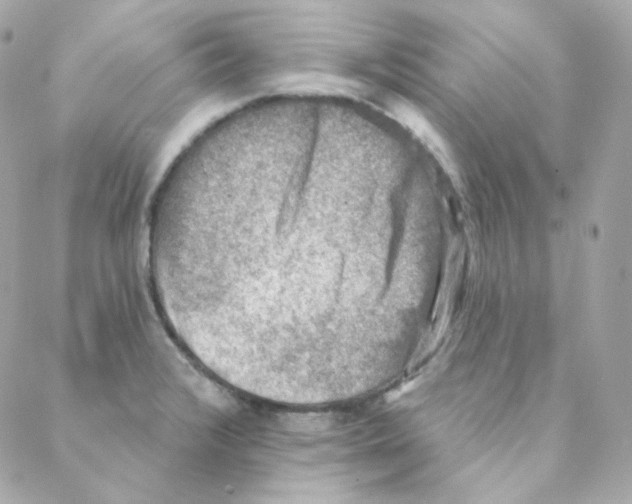 X0000088221376200706051312