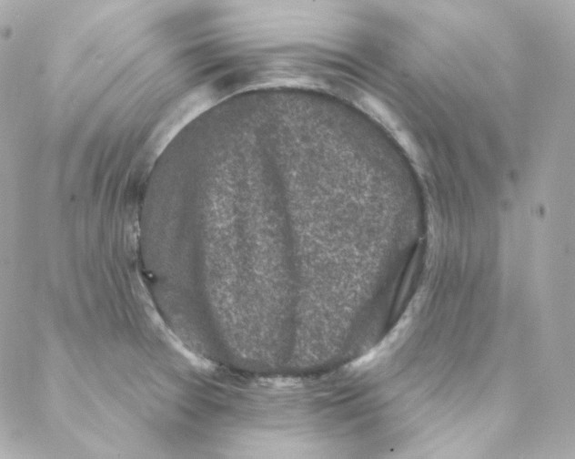 X0000088221377200706051312