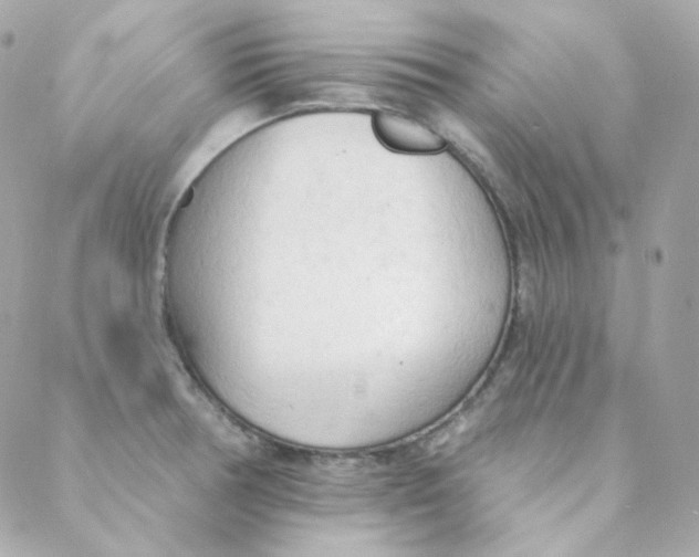 X0000088221378200706051312