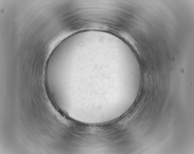 X0000088221379200706051312