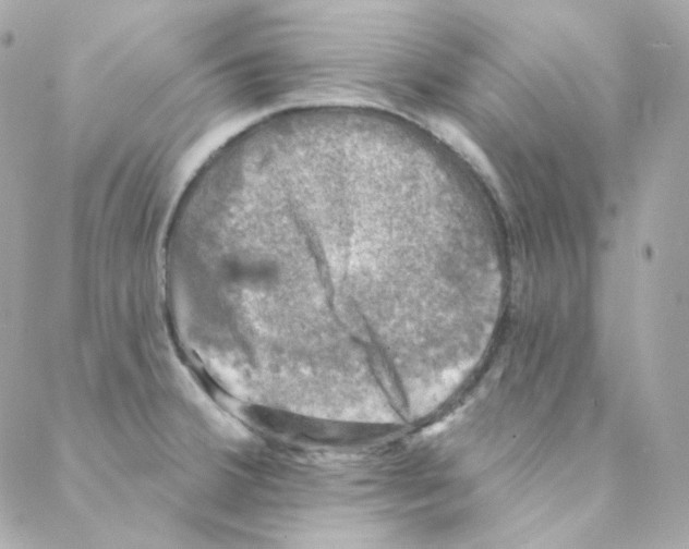 X0000088221380200706051312