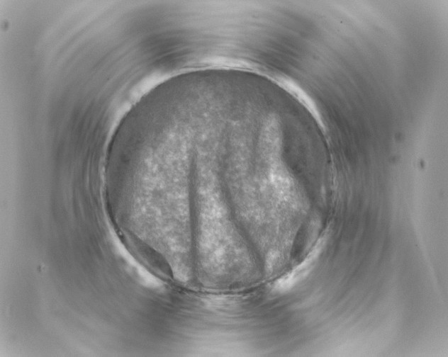 X0000088221381200706051312