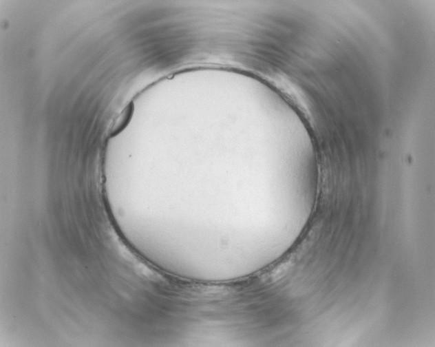 X0000088221382200706051312