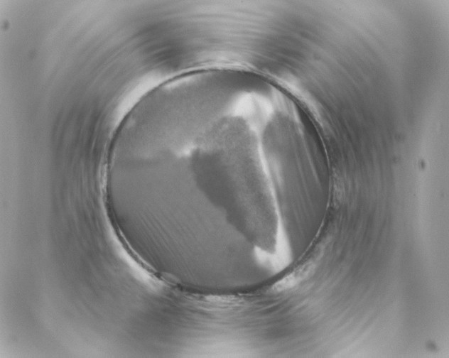 X0000088221383200706051312