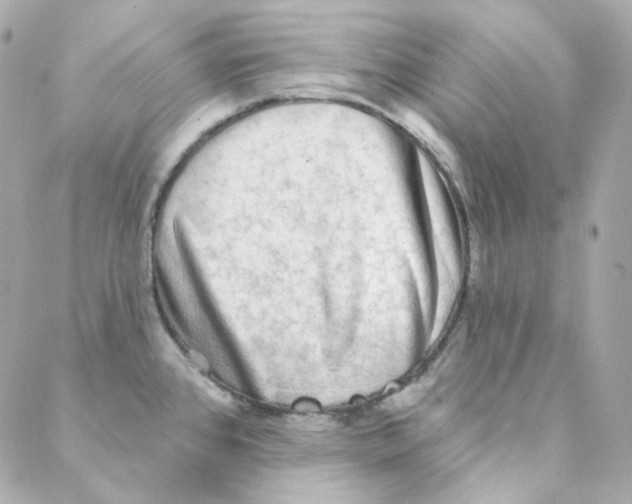 X0000088221384200706051312