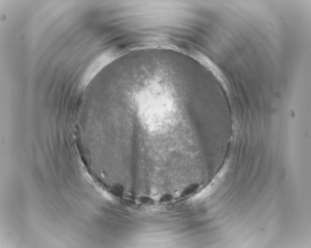 X0000088221385200706051311