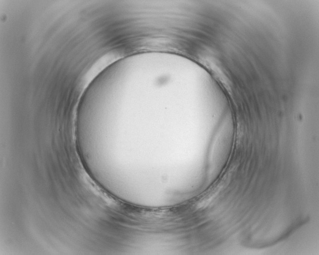 X0000088221386200706051311