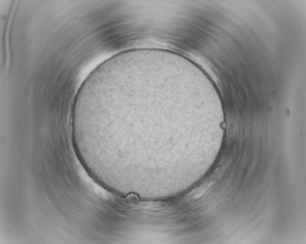 X0000088221387200706051311