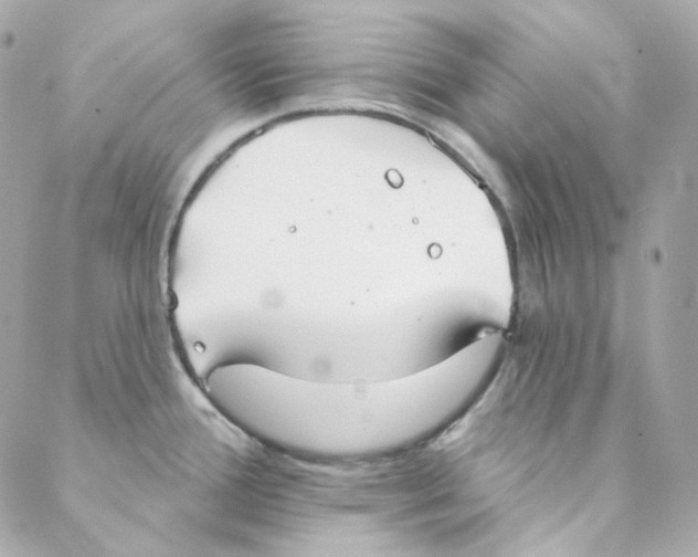 X0000088221388200706051311