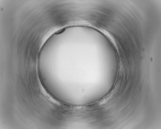 X0000088221390200706051311