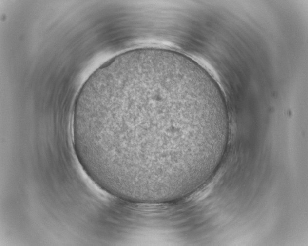 X0000088221391200706051311