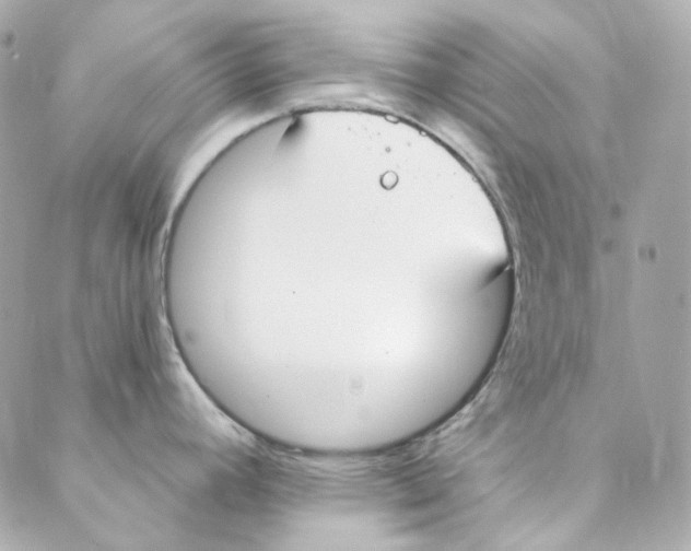 X0000088221392200706051311